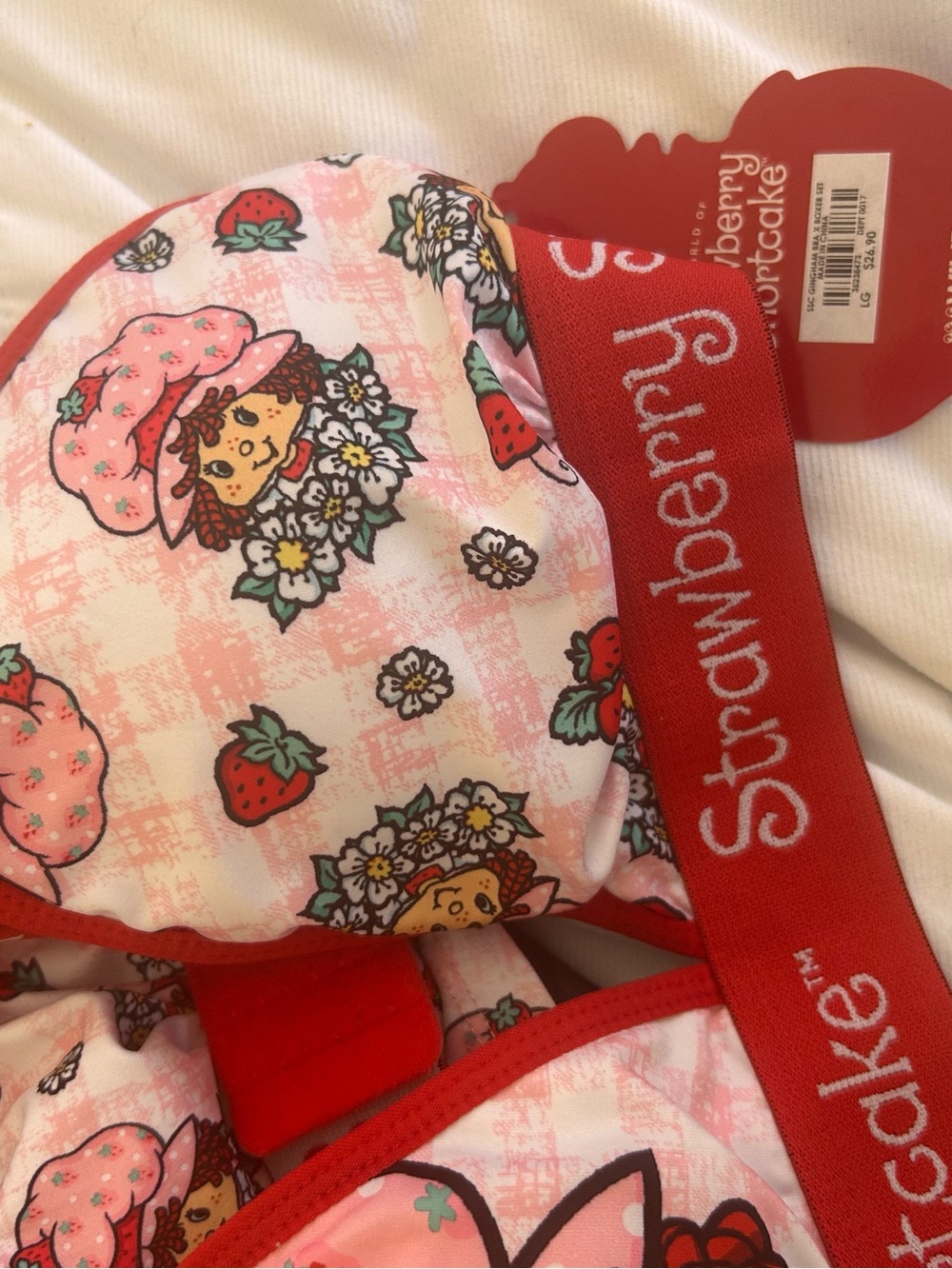 Strawberry Shortcake Pink & Red Printed Women's Panties